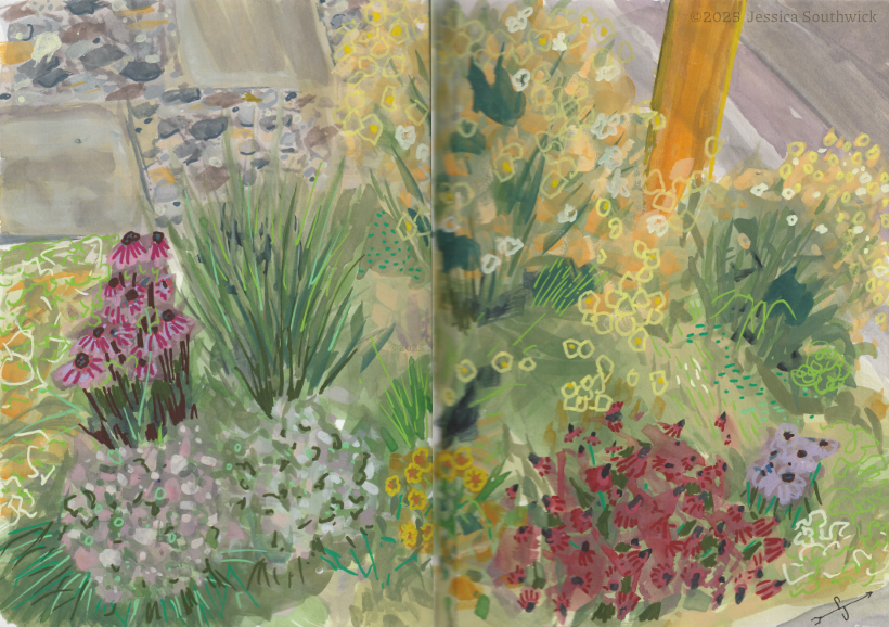 Mixed media sketchbook sketch of flower bed in the city of New Haven, by Jessica Southwick