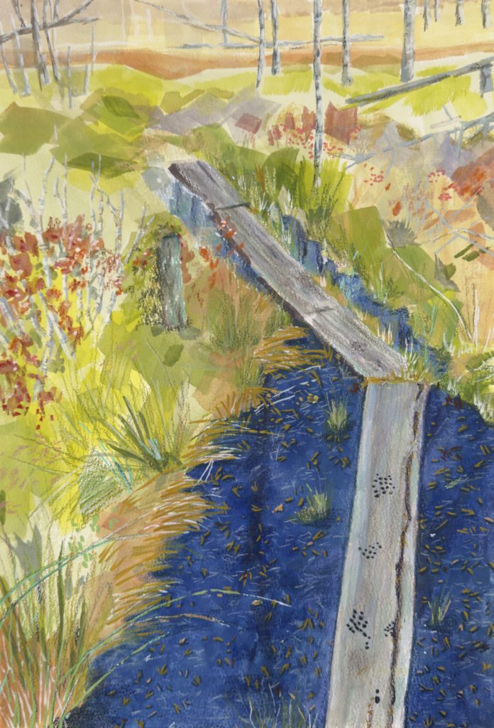 Gouache painting of hike through bog in Maine including wooden boards through wet areas, by Jessica Southwick